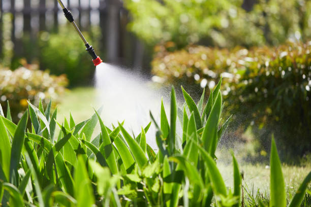24/7 Emergency Mosquito Control experts in Gramercy, LA