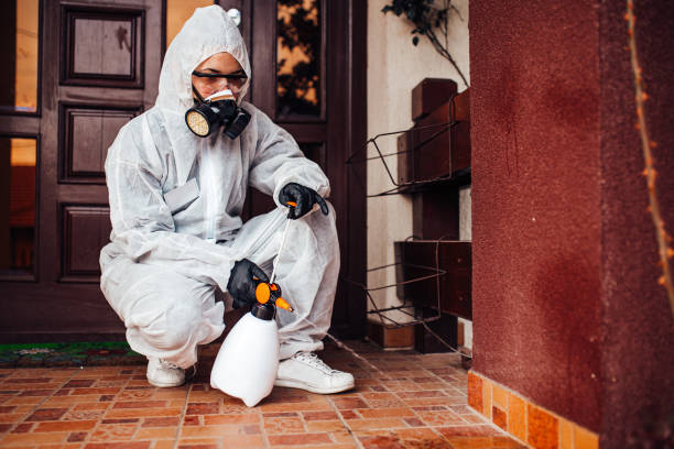 Reliable Mosquito Control contractor in Gramercy, LA by Show Me Pest Control